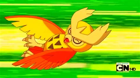 hdvidz|Hdvidz in Pokemon Battle Ash Shuckle Dusknoir vs Noctowl.